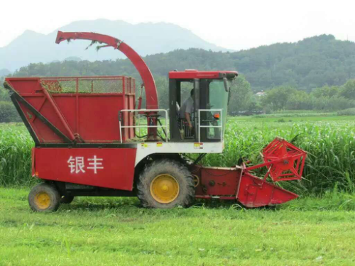 自走式青儲機(jī)你選對了嗎？銀豐青儲機(jī)好品質(zhì)